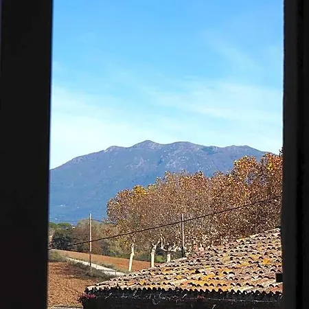 Ribalta 4*
